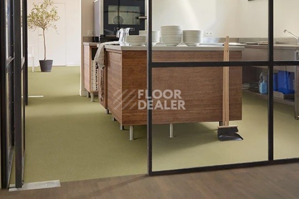 Линолеум FORBO SafeStep R11 174542 moss фото 1 | FLOORDEALER